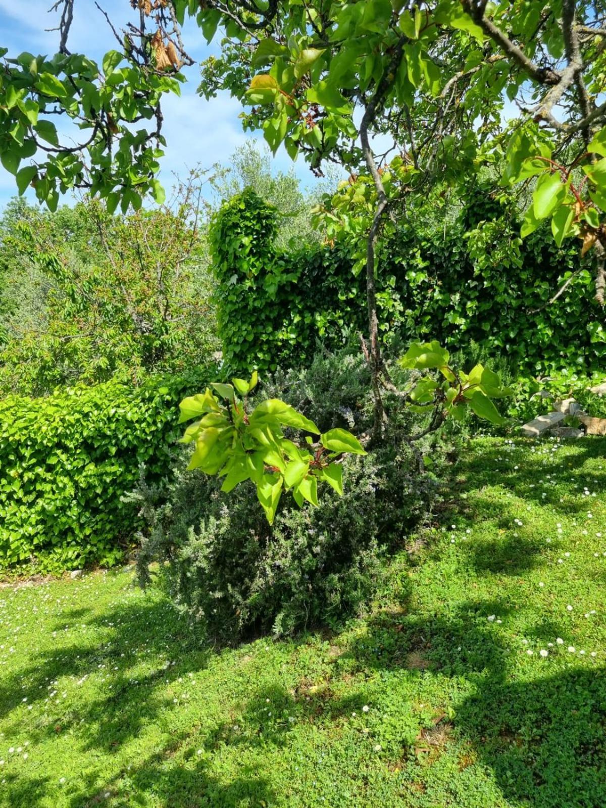 Dimora Nel Chianti Guest House San Sano Exterior photo